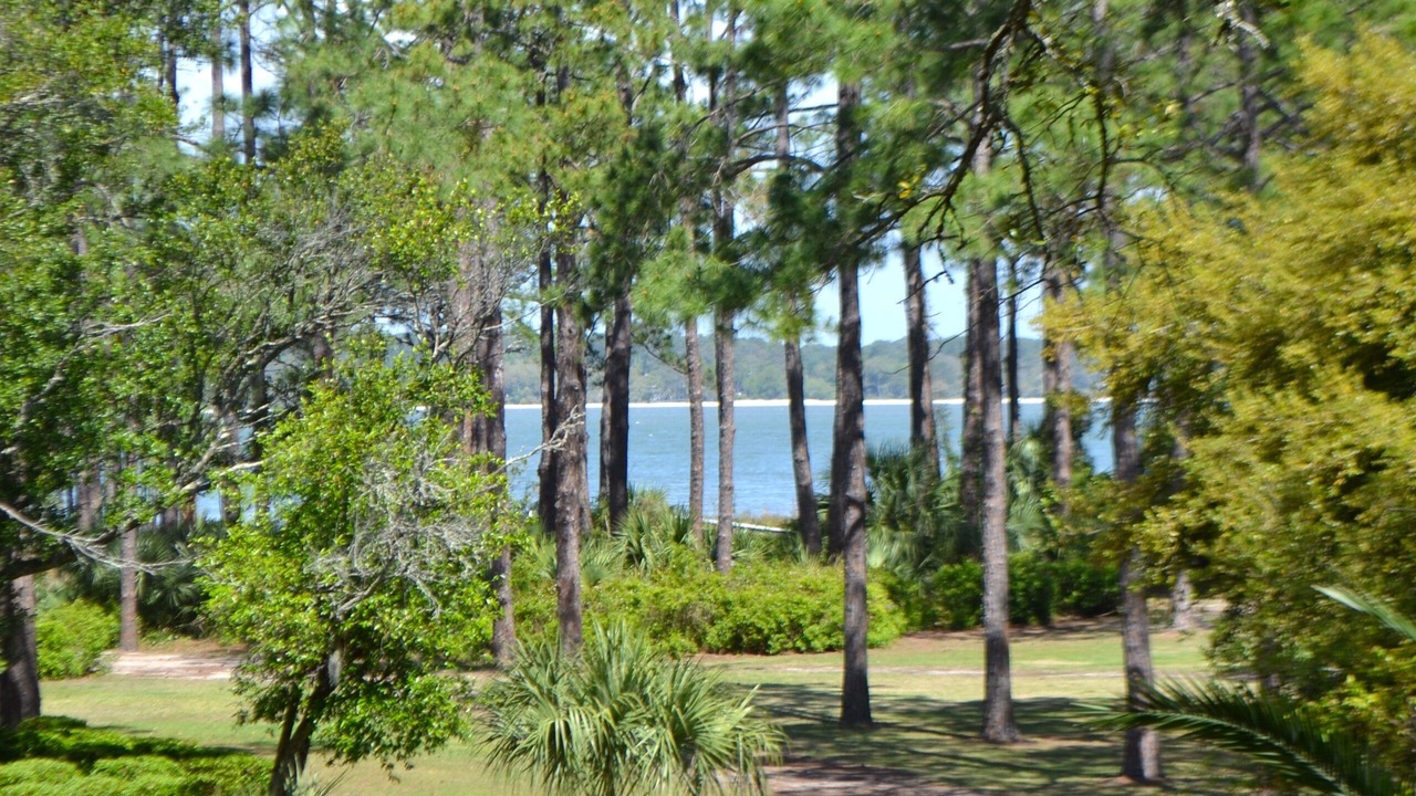 Photo of Outdoor in South Beach