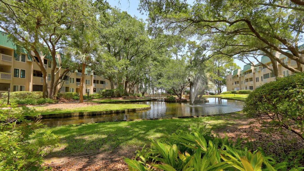 Photo of Outdoor in Palmetto Dunes