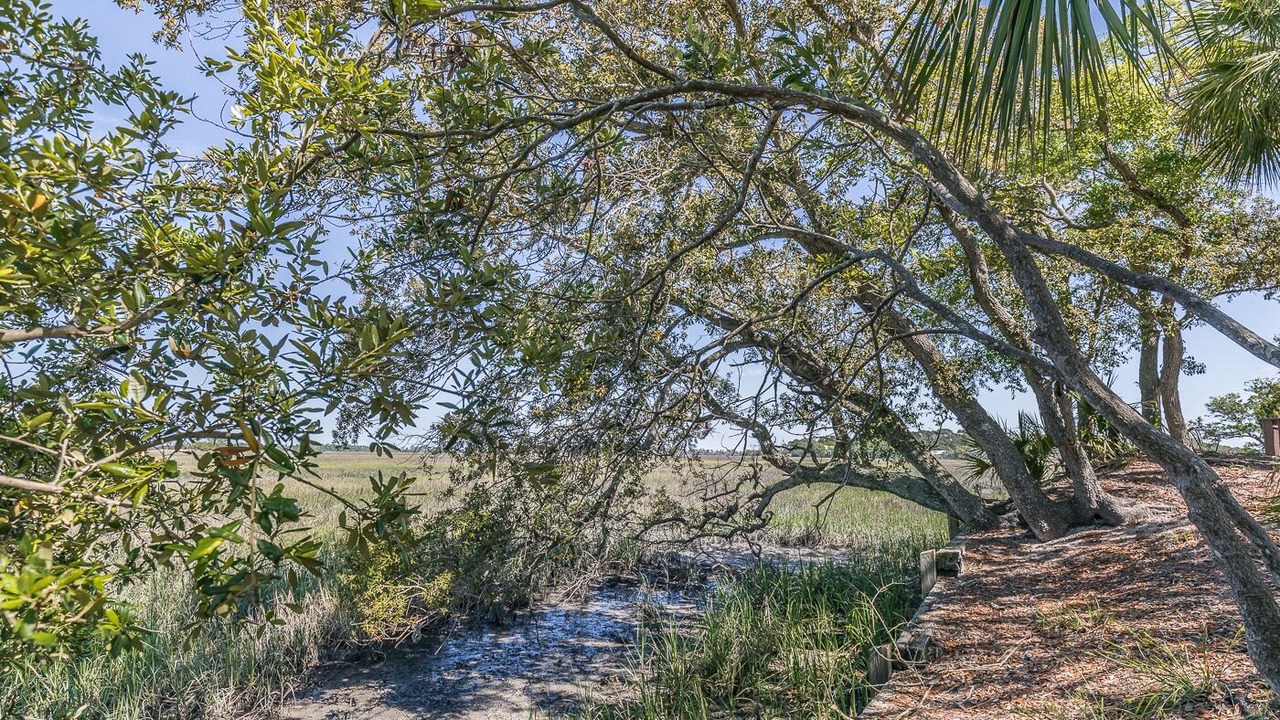 Photo of Others in Saint Helena Island