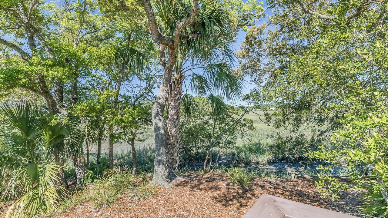 Photo of Outdoor in Saint Helena Island