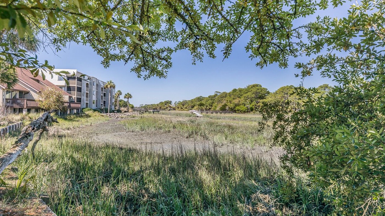 Photo of Others in Saint Helena Island