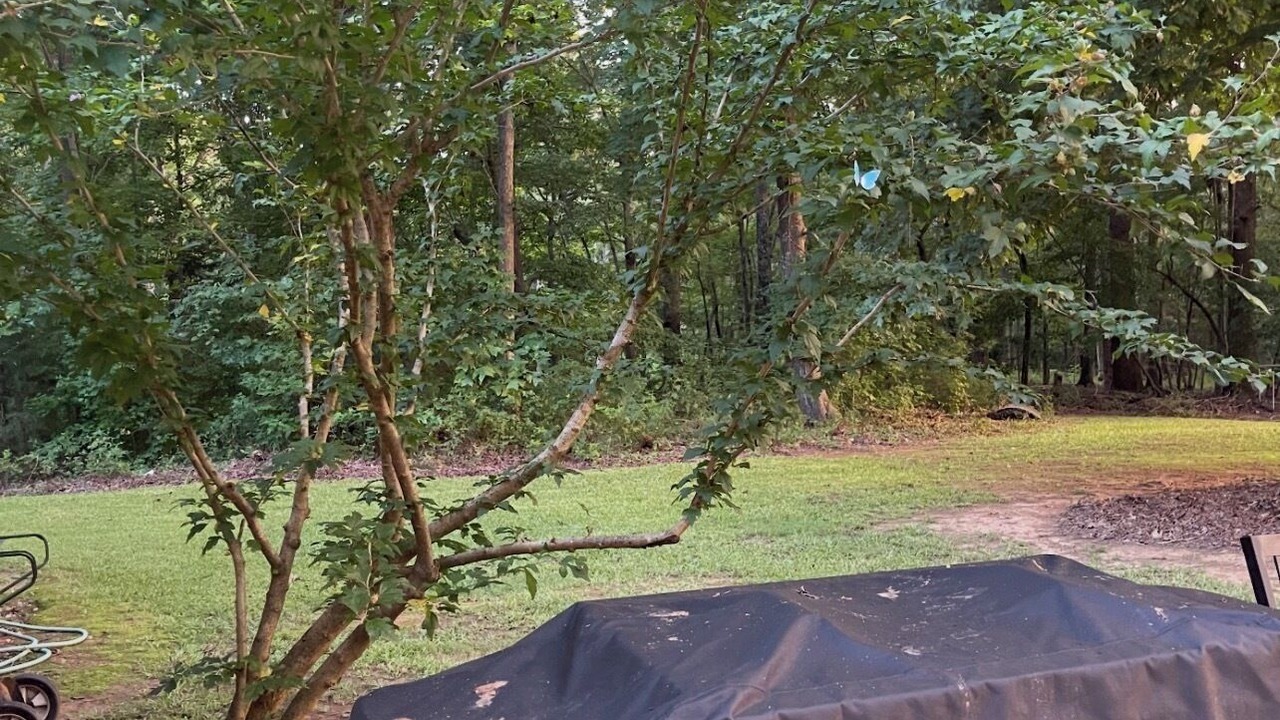 Photo of Outdoor in Rock Hill