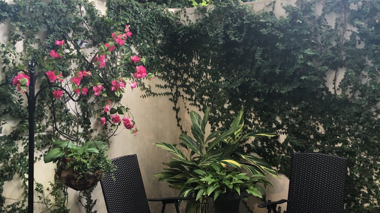 Photo of Patio Balcony in Harleston Village