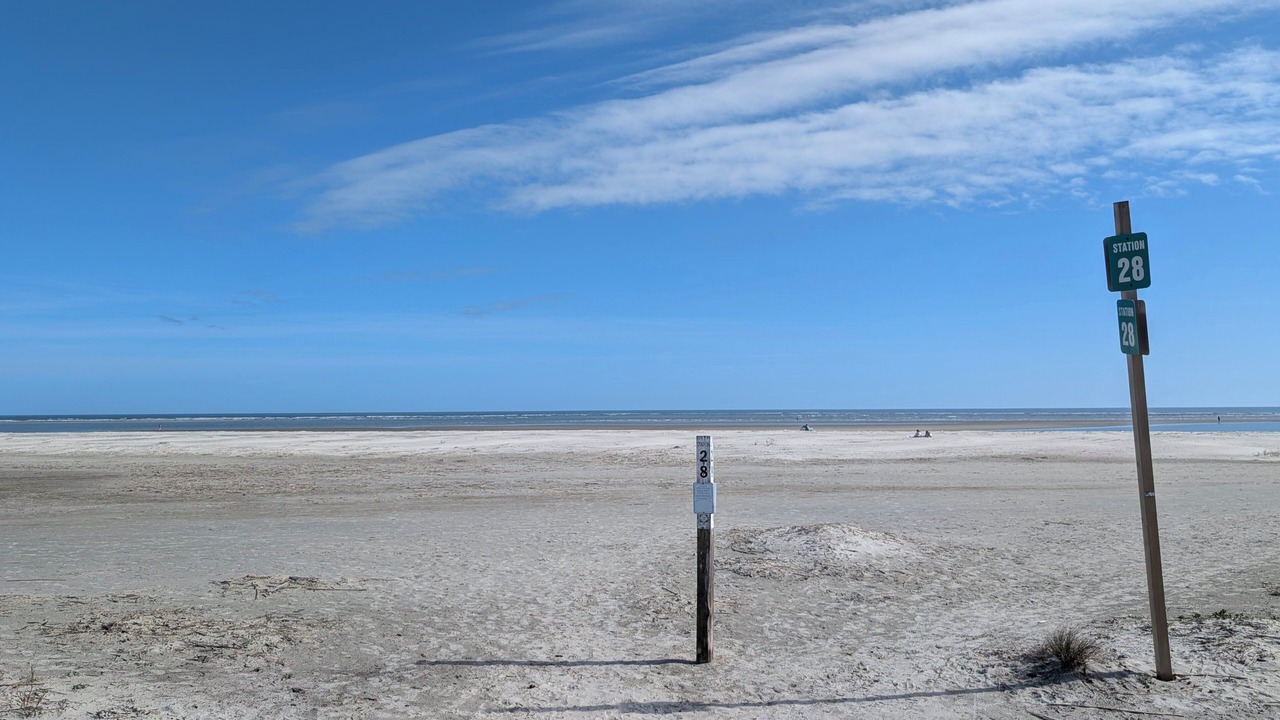Photo of Others in Sullivan's Island