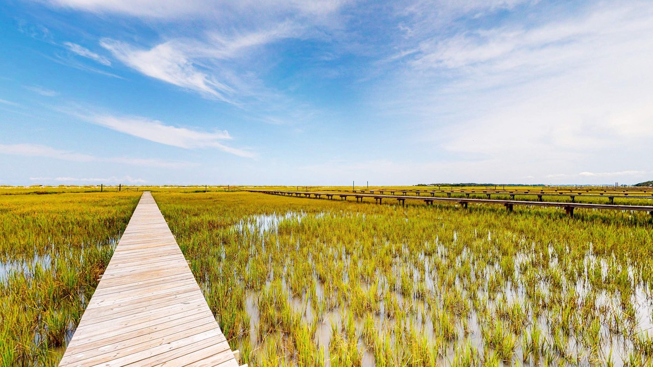 Photo of Others in Edisto Island