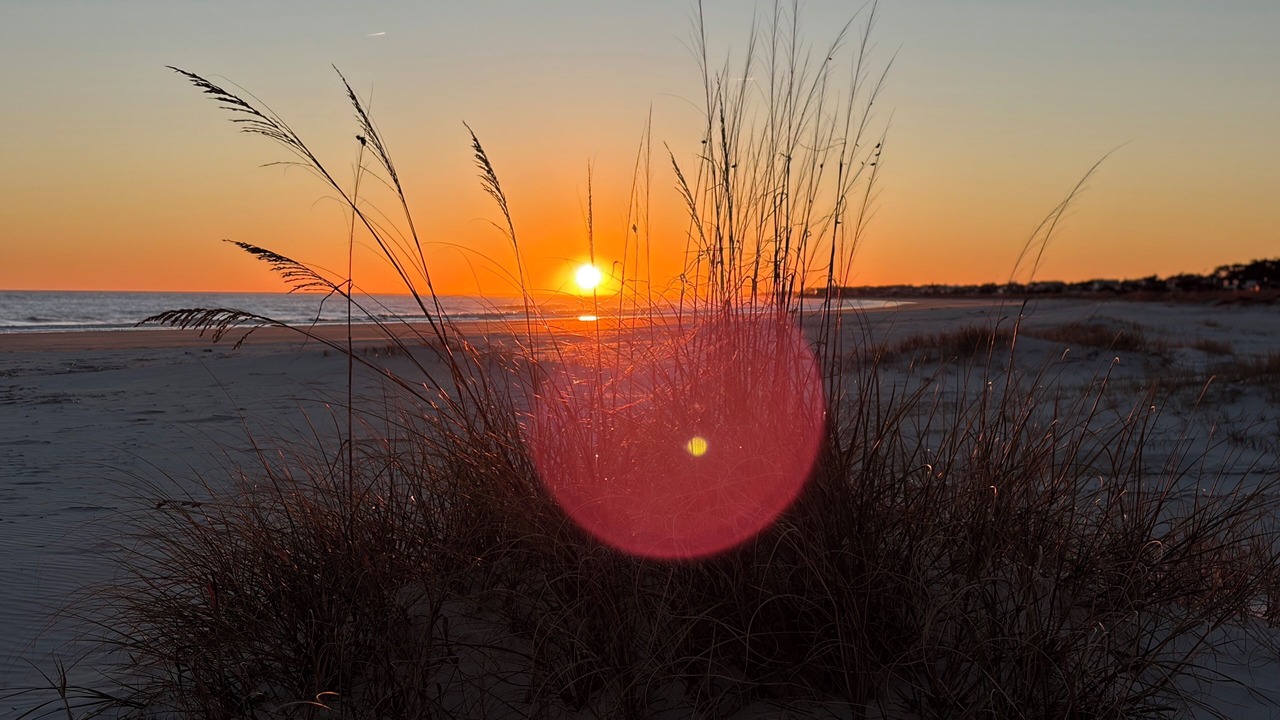 Photo of Others in Saint Helena Island