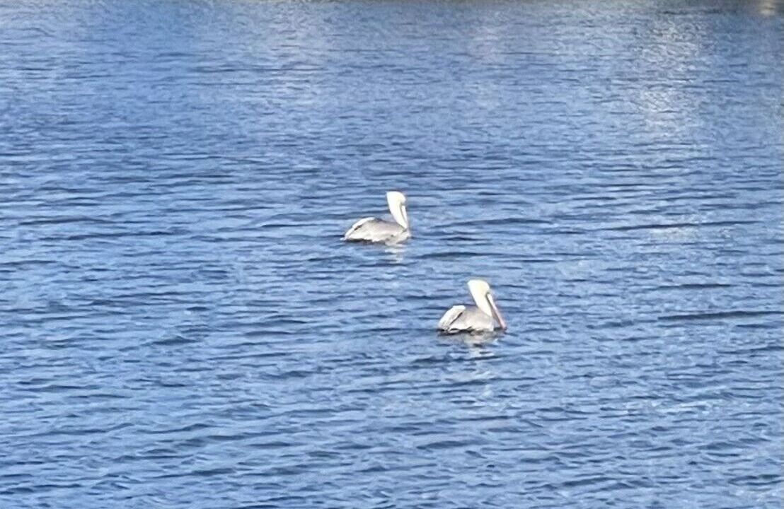 Photo of Others in Litchfield by the Sea