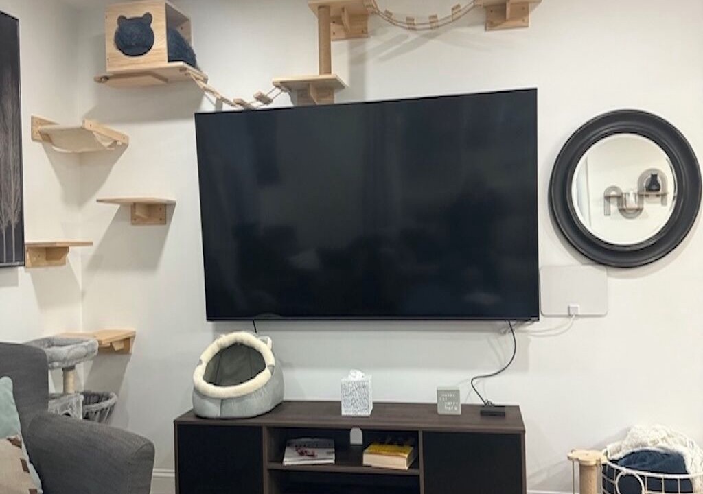Photo of Livingroom in Asheboro