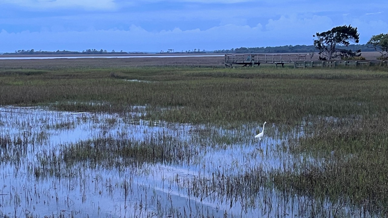 Photo of Others in Saint Helena Island