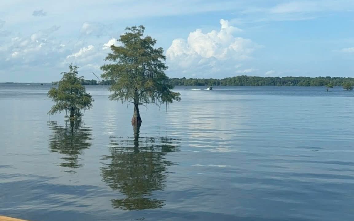 Photo of Others in Eutawville