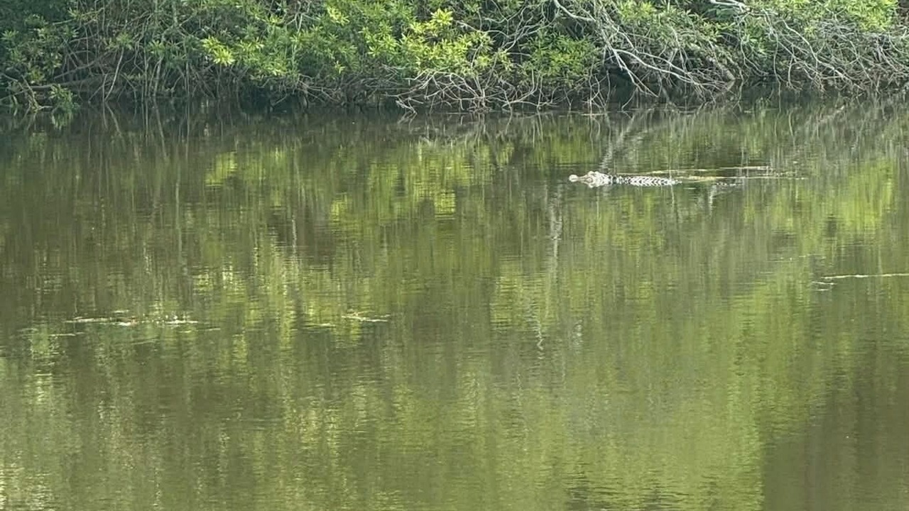 Photo of Others in Eutawville