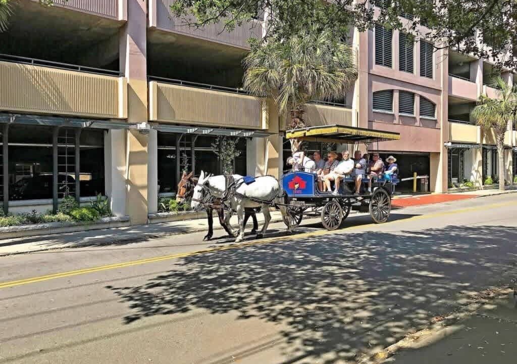 Photo of Others in Charleston Historic District