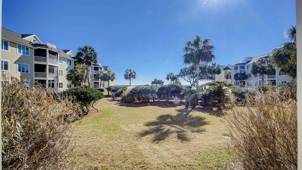Photo of Outdoor in Isle of Palms