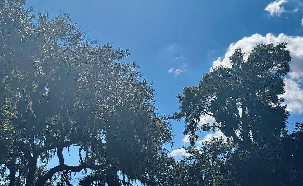 Photo of Others in Port Royal