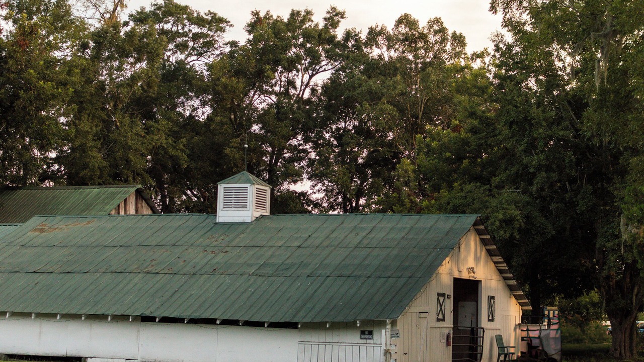Photo of Outdoor in Beaufort