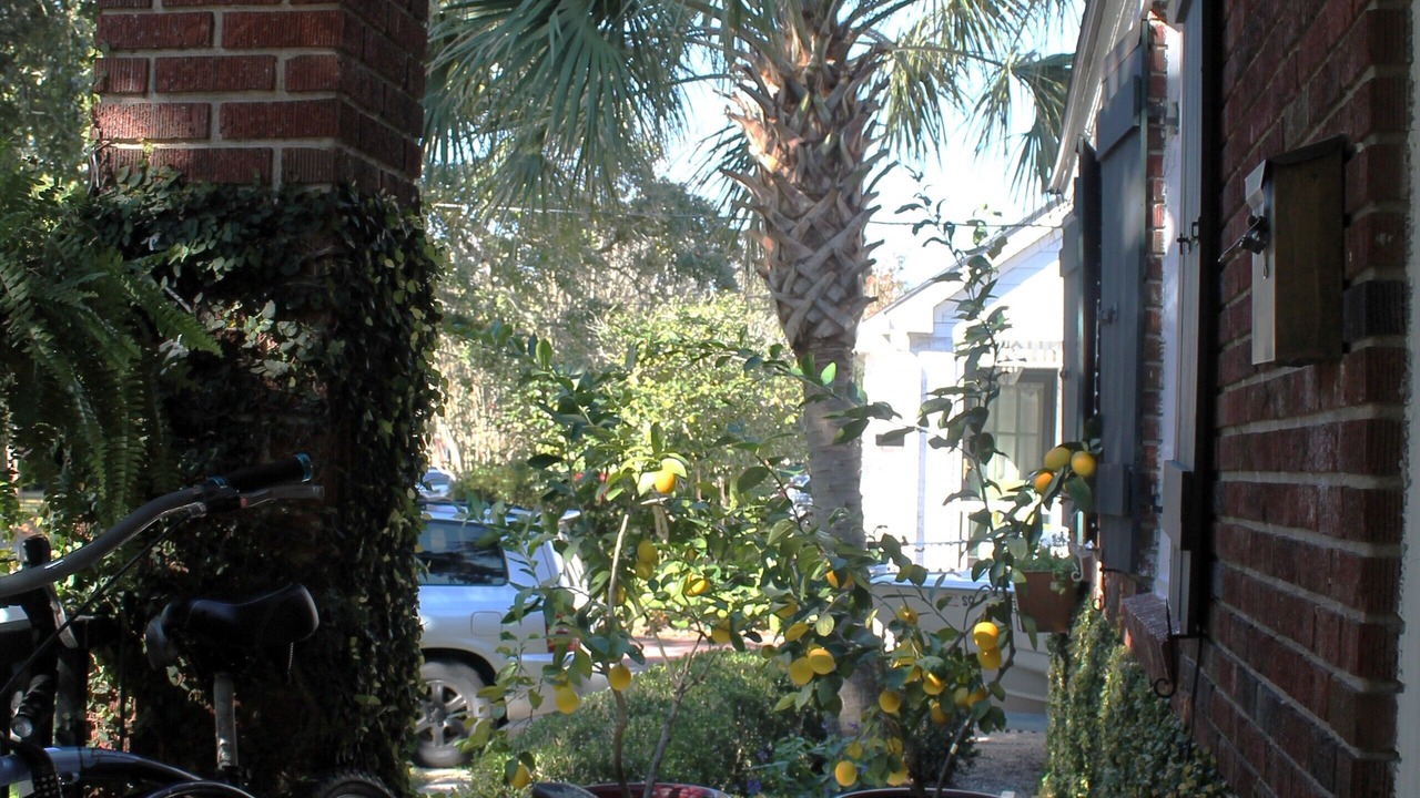 Photo of Outdoor in Charleston