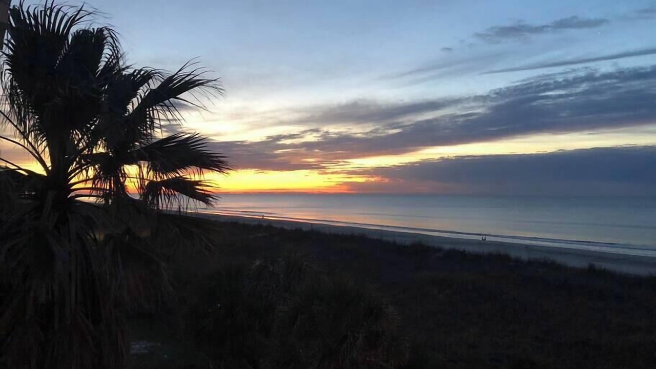 Photo of Others in Atlantic Beach