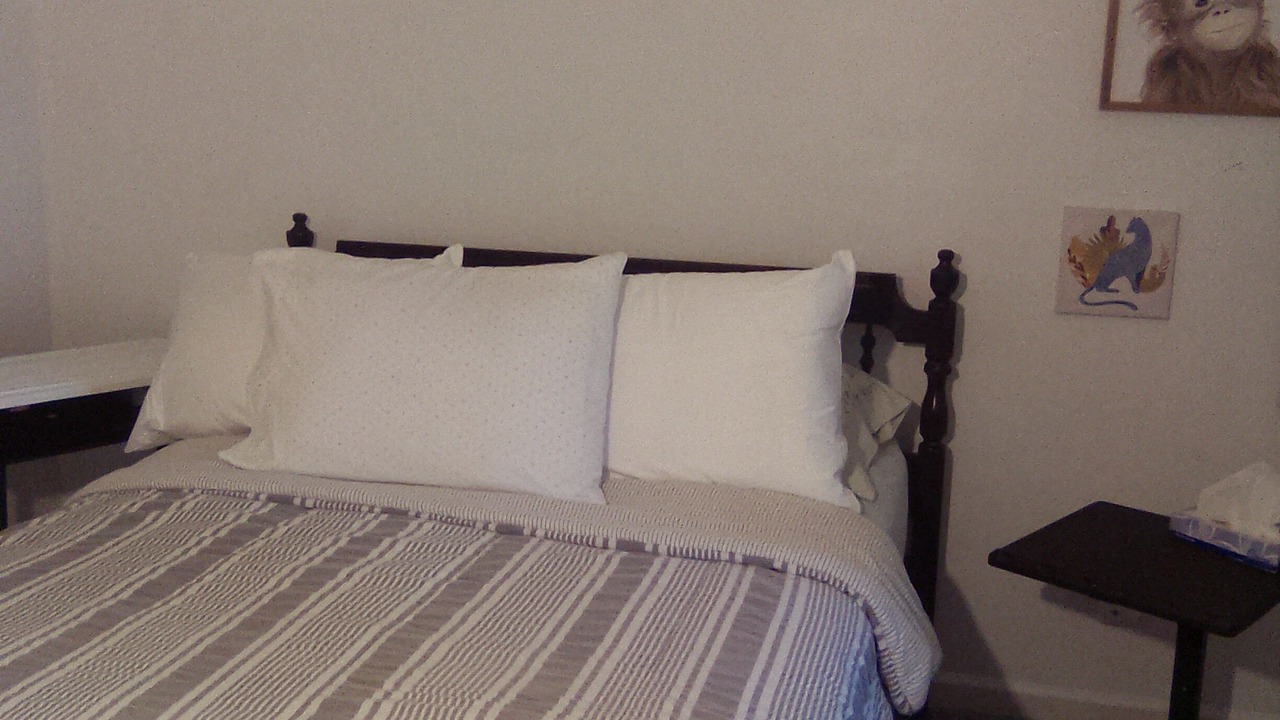 Photo of Bedroom in Sumter