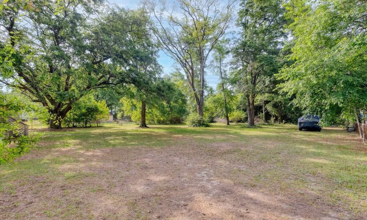 Photo of Outdoor in Scanlonville