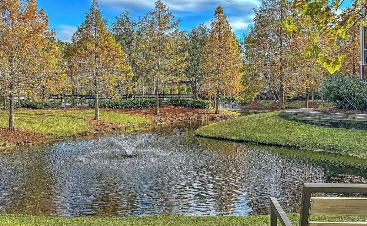 Photo of Outdoor in Mount Pleasant