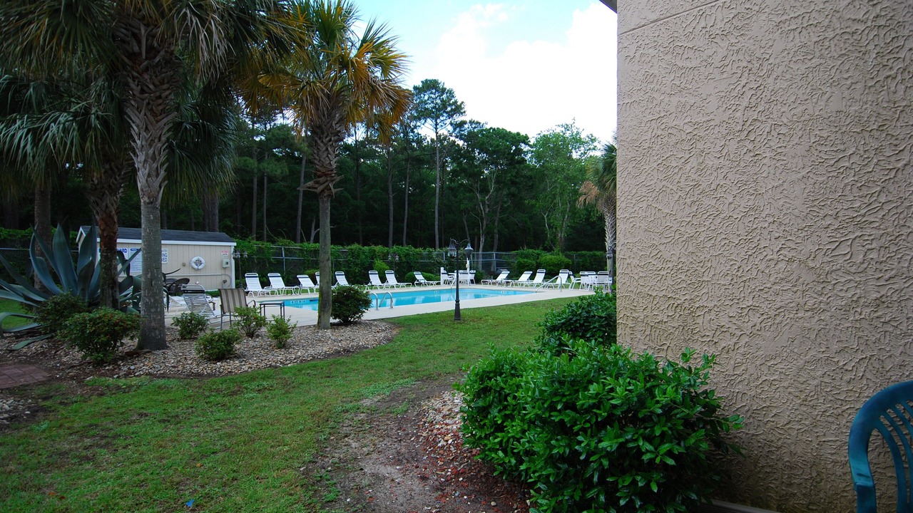 Photo of Others in Arcadian Shores