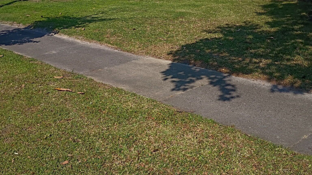 Photo of Outdoor in Sumter