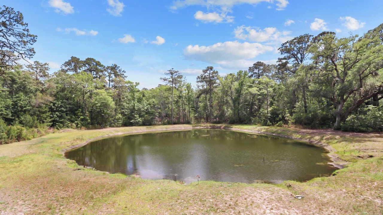 Photo of Others in Daufuskie Island
