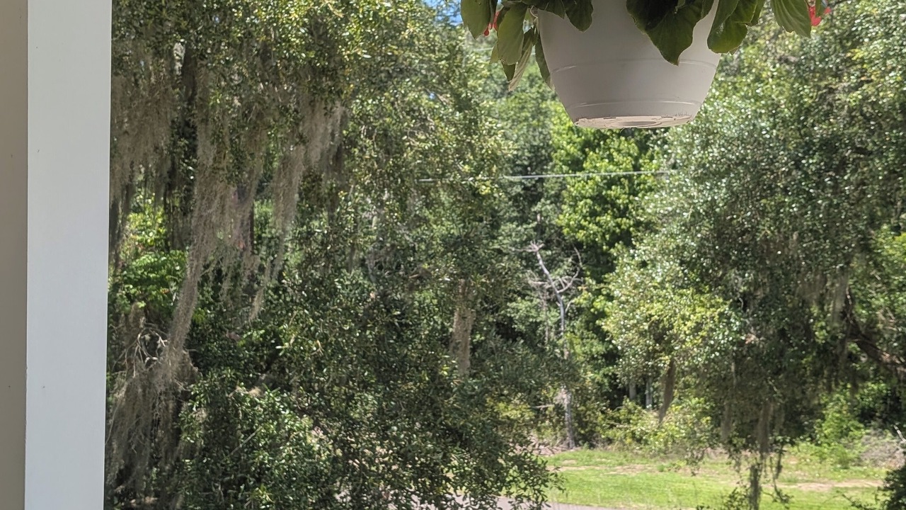 Photo of Outdoor in North Litchfield Beach