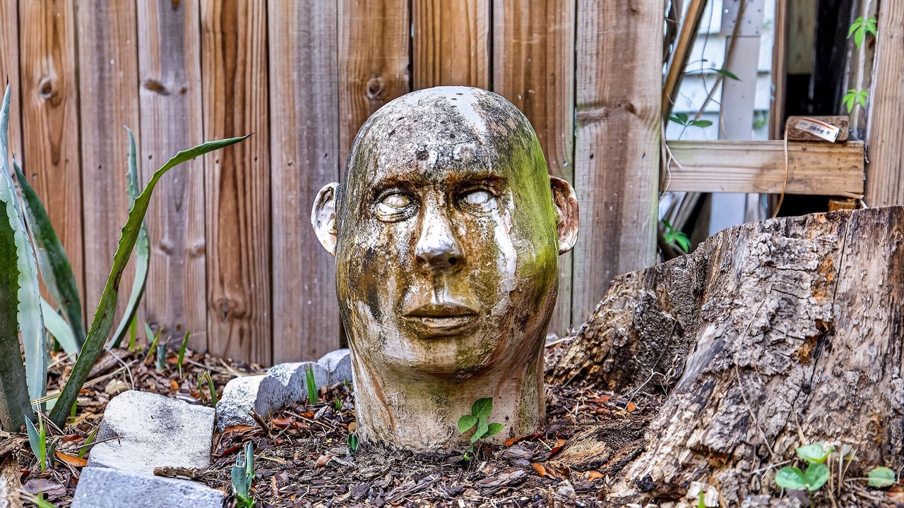 Photo of Outdoor in Beach Institute
