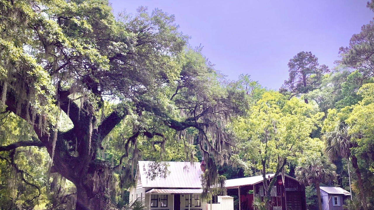 Photo of Outdoor in Daufuskie Island