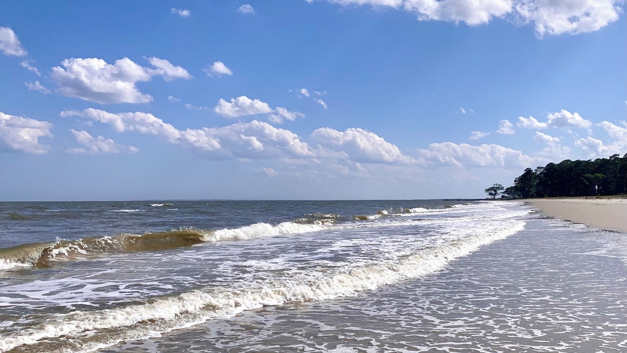 Photo of Others in Daufuskie Island