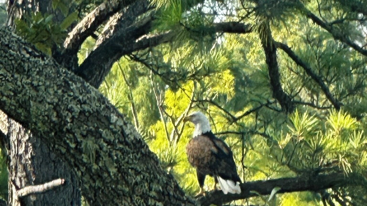 Photo of Others in Walterboro