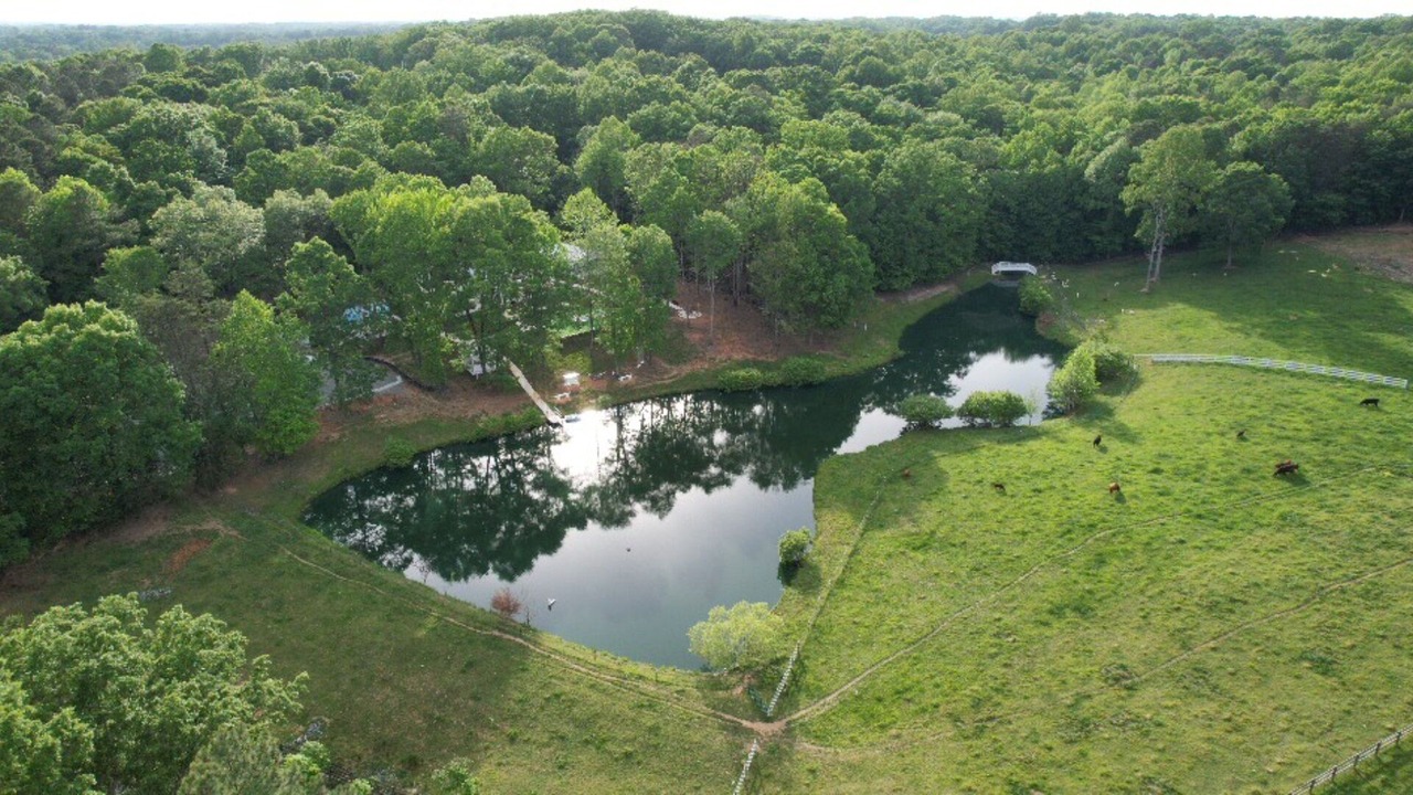 Photo of Outdoor in Bynum