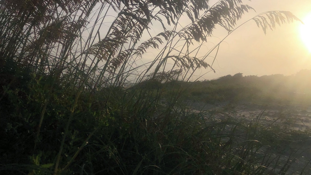 Photo of Outdoor in Old Village