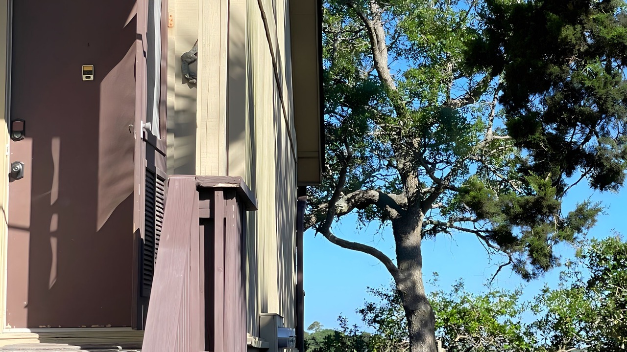 Photo of Others in Saint Helena Island