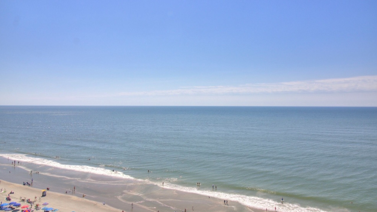 Photo of Others in Arcadian Shores