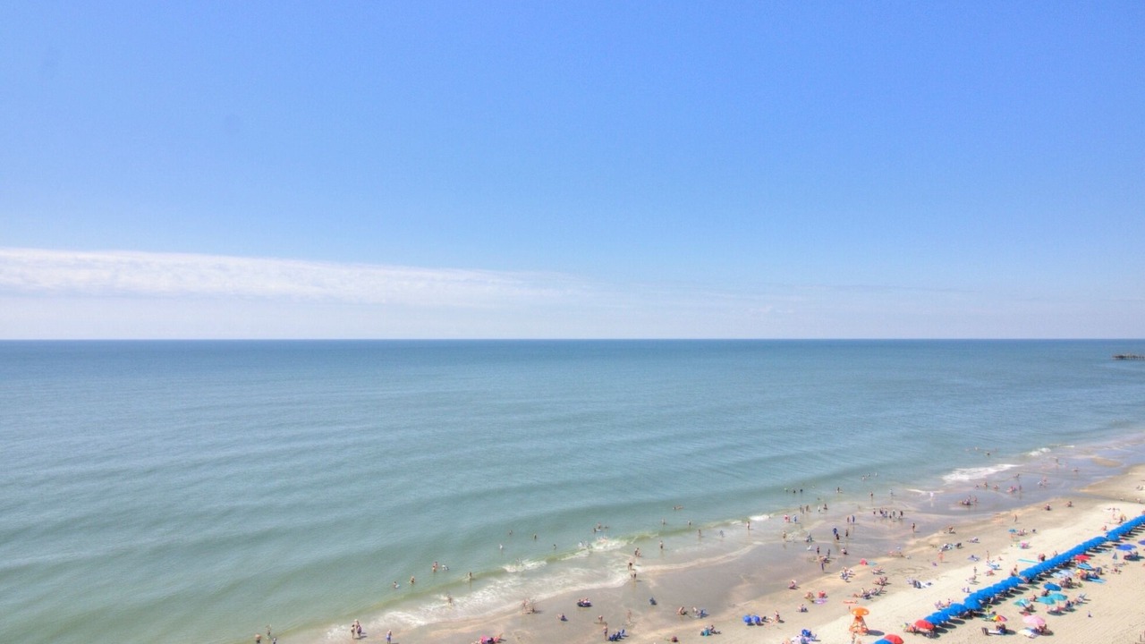 Photo of Others in Arcadian Shores