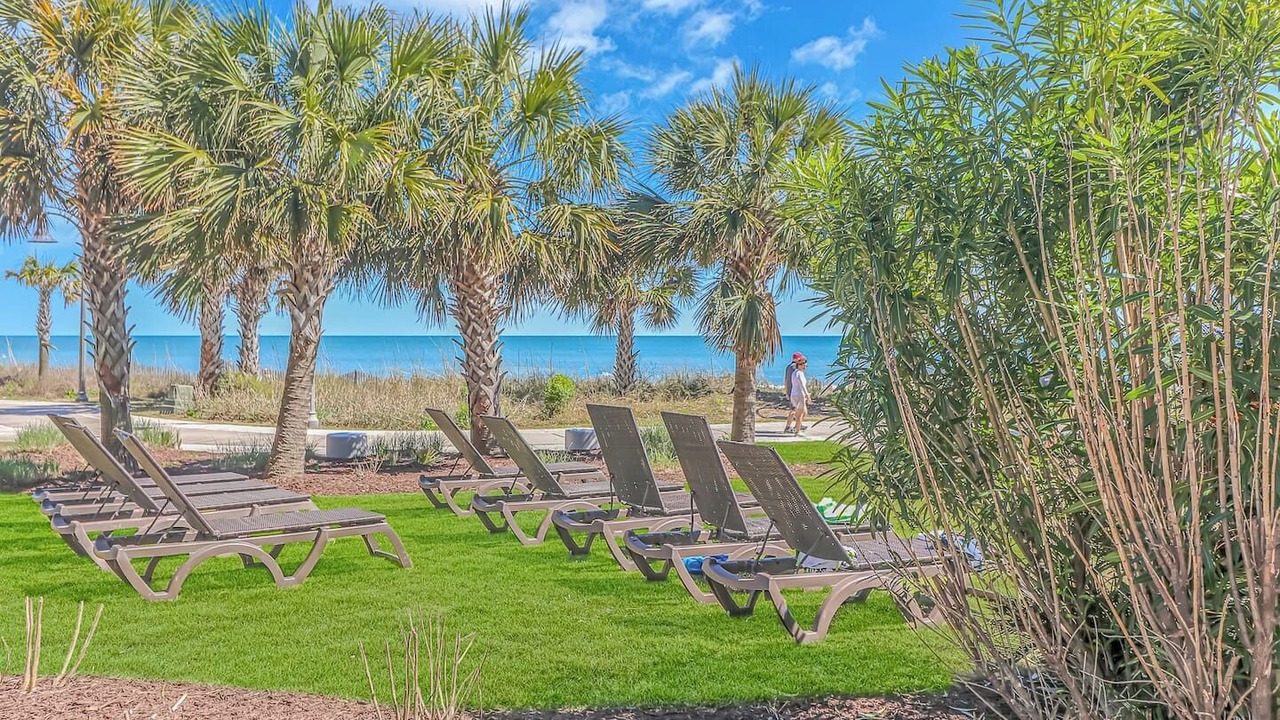 Photo of Outdoor in Downtown Myrtle Beach