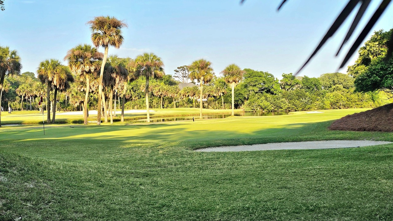Photo of Others in Edisto Island