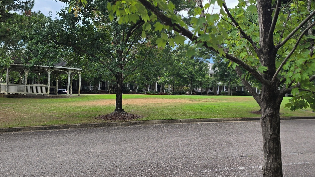 Photo of Outdoor in Lake Carolina