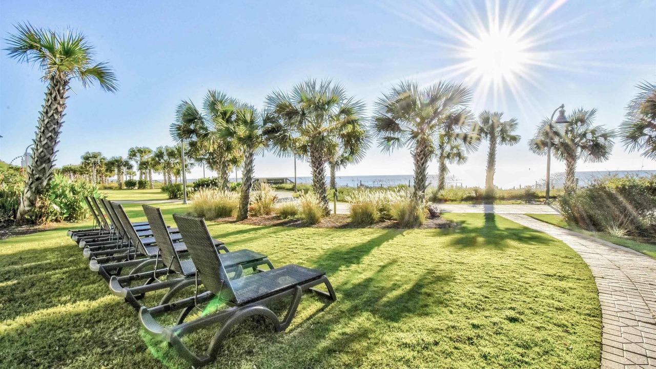 Photo of Outdoor in Downtown Myrtle Beach