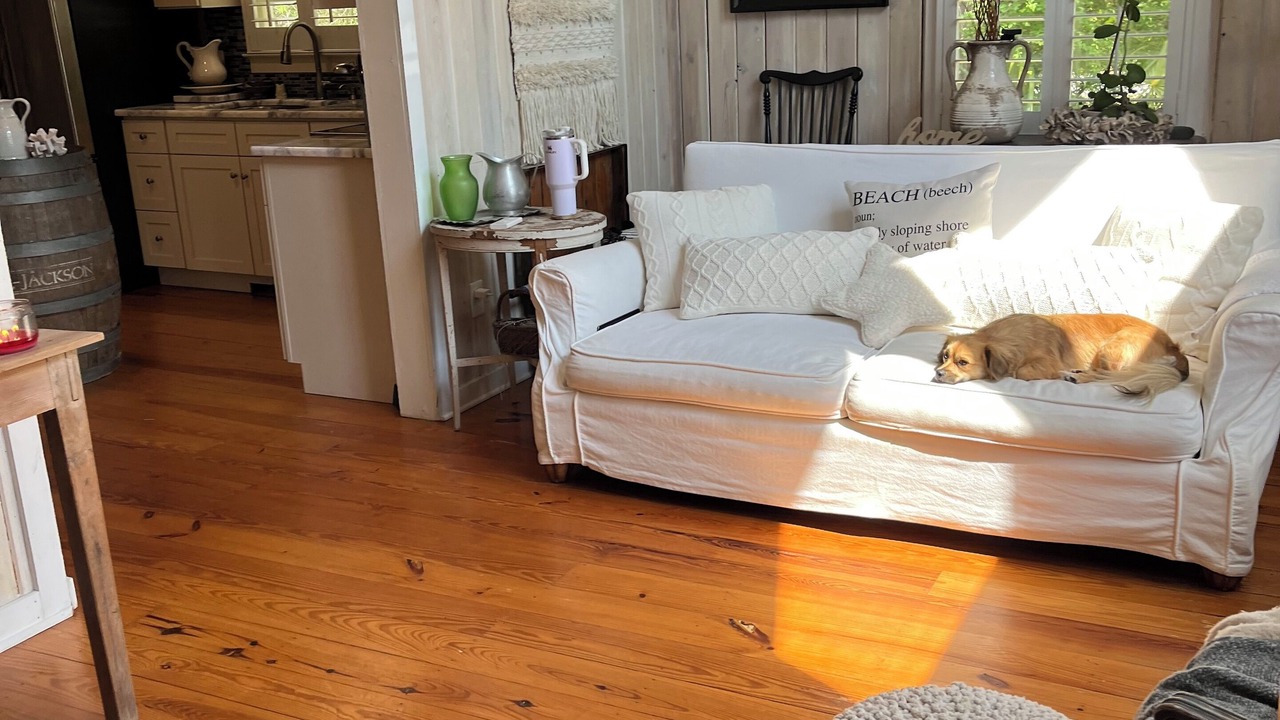 Photo of Livingroom in Pawleys Island