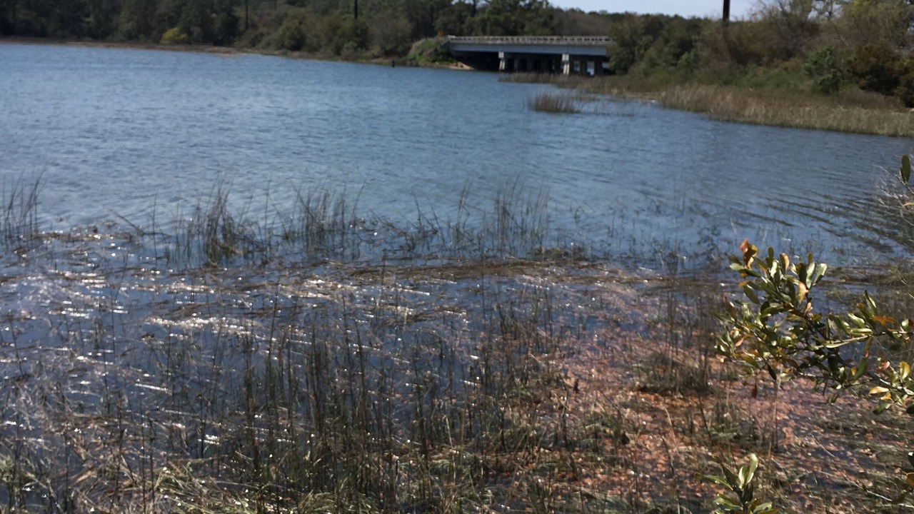 Photo of Others in Johns Island