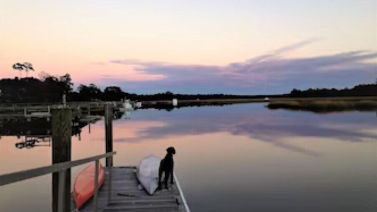 Photo of Others in Johns Island