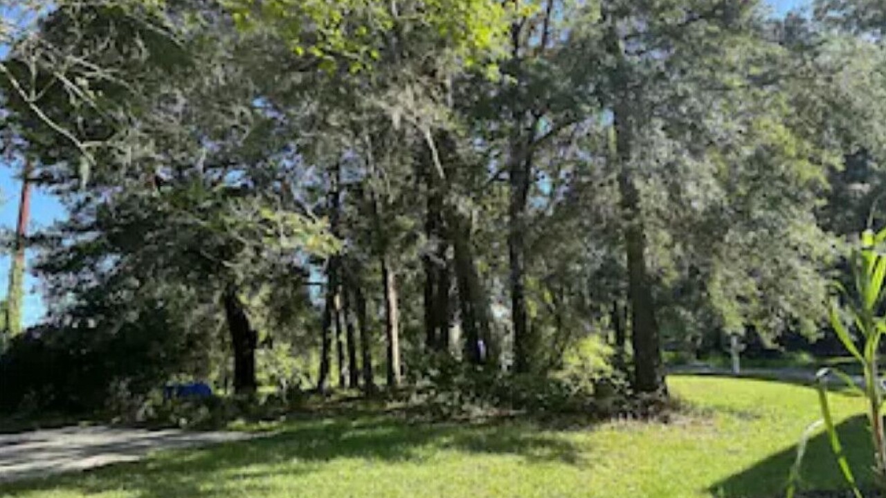Photo of Others in Johns Island