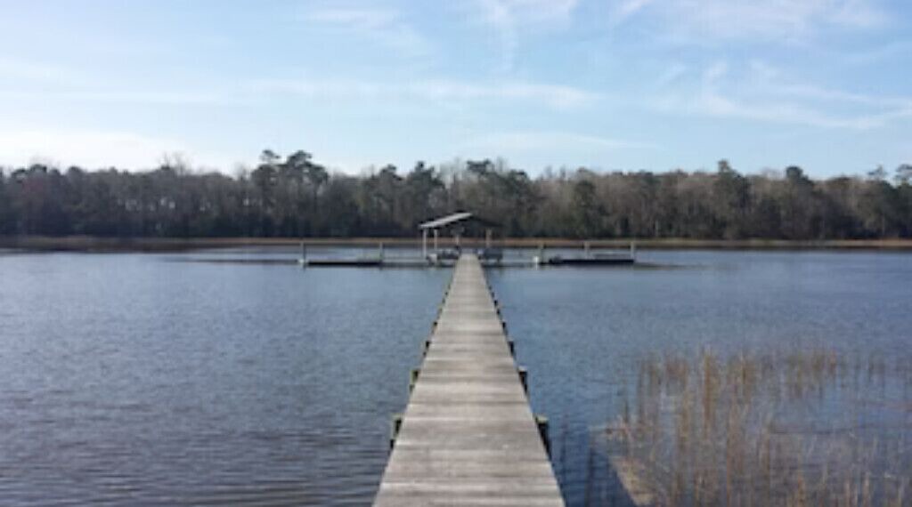 Photo of Others in Johns Island