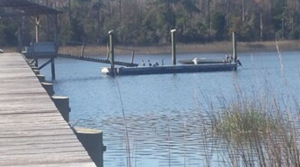 Photo of Others in Johns Island