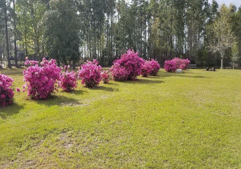 Photo of Outdoor in Russellville