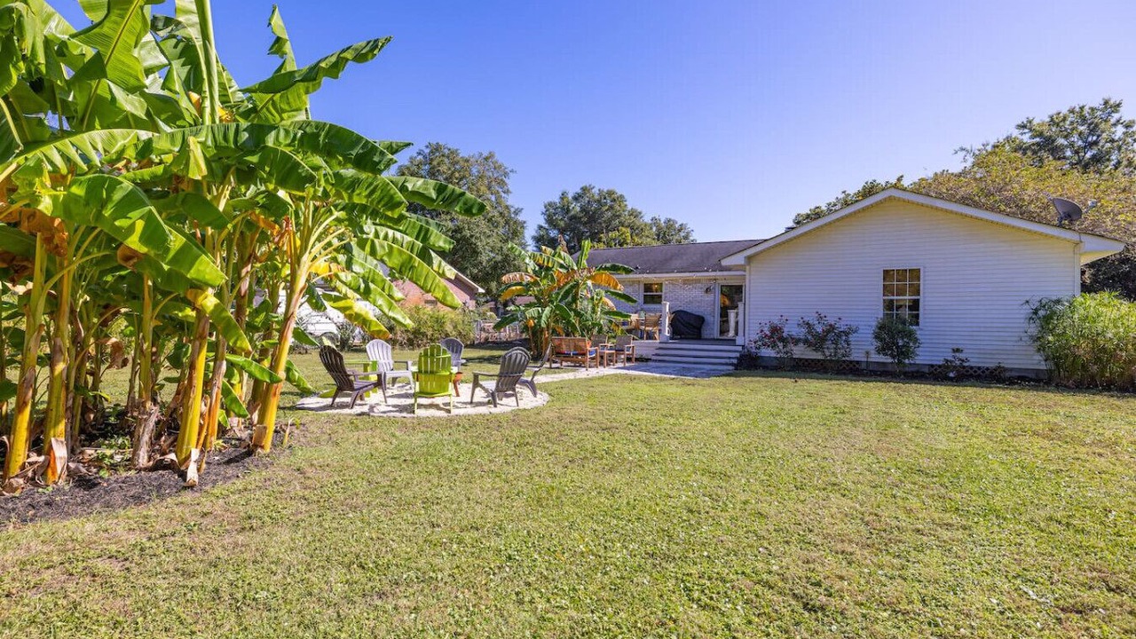 Photo of Outdoor in Charleston