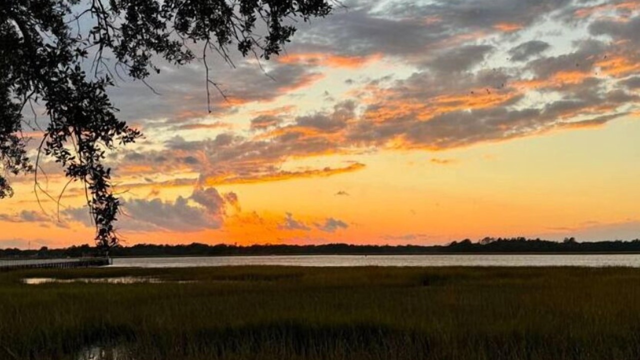 Photo of Others in Charleston